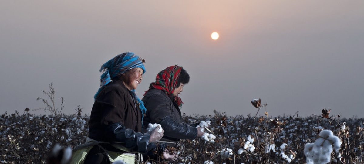 Sustainable Cotton - China