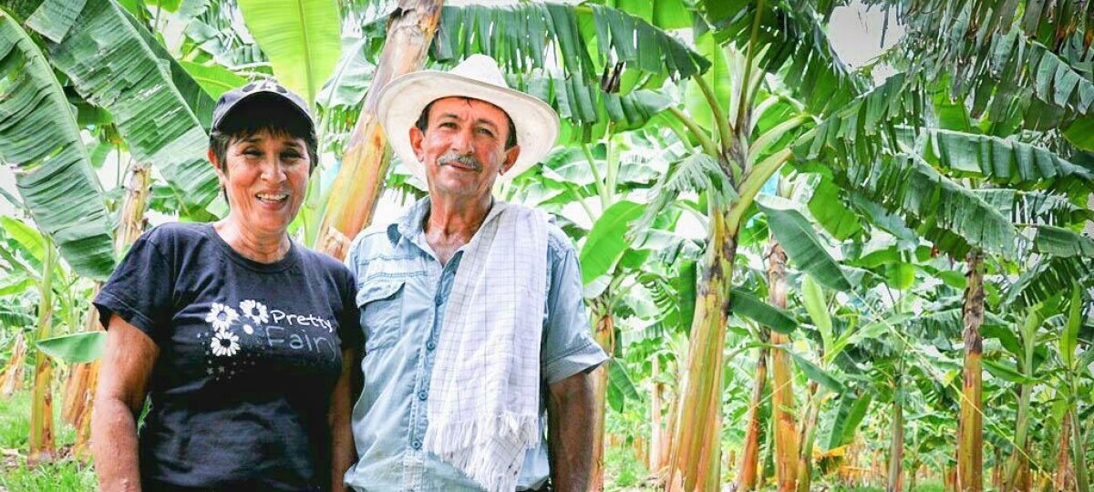 Kleinschalige fruitboeren in Colombia