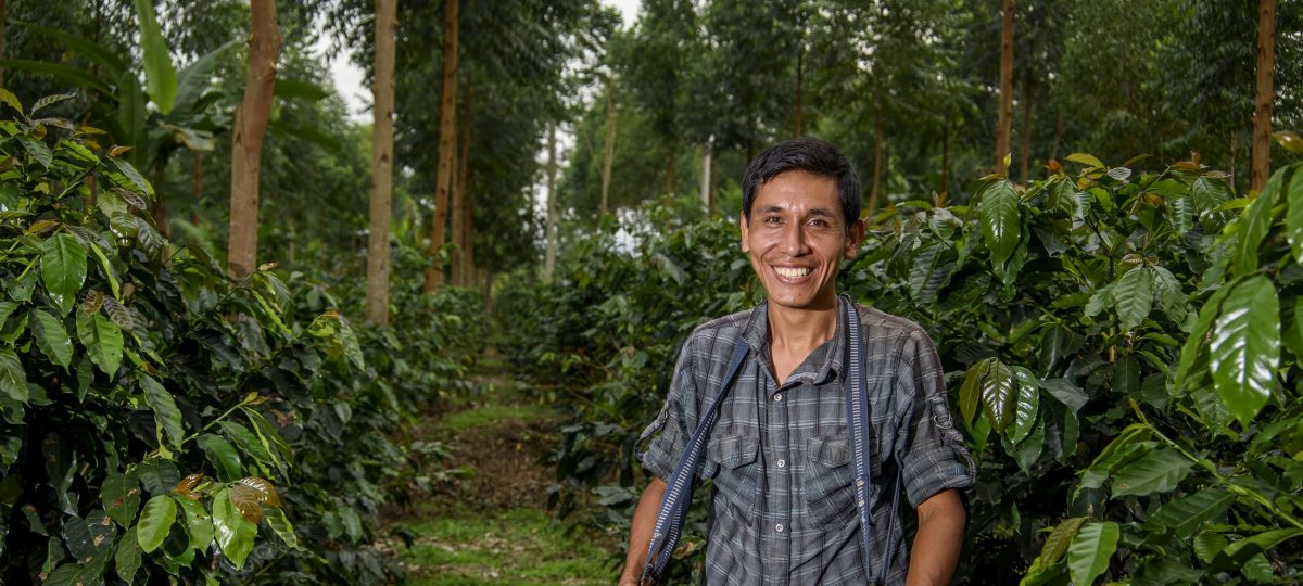 Climate smart coffee farming needs investments