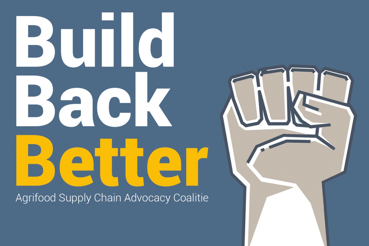 Build Back Better duurzaam, rechtvaardig, veerkrachtig Solidaridad