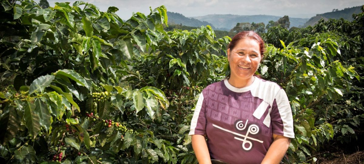vrouw in koffieplantage in Colombia