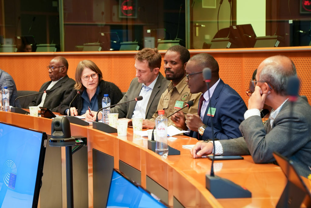 Daniel Amponsah, Heidi Hautala, Christophe Hansen, Pedro Marenja, Pison Kukundakwe, Kpomin Edi en Napolean Ningkos in gesprek in het Europees Parlement