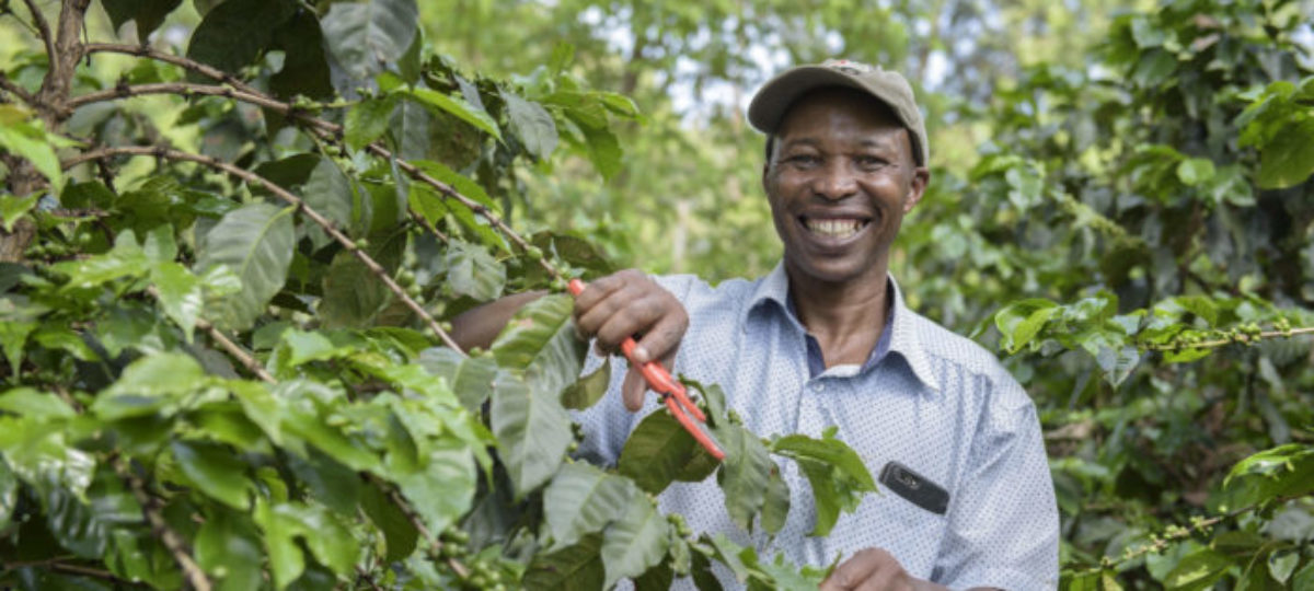 Charles Mutwiri, Kenya, Duurzame koffie © Solidaridad
