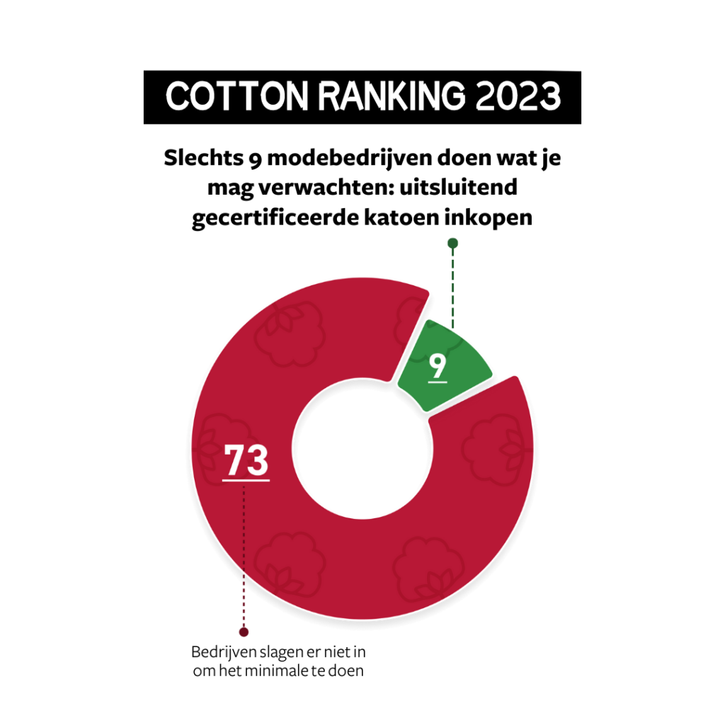 Cotton Ranking 2023