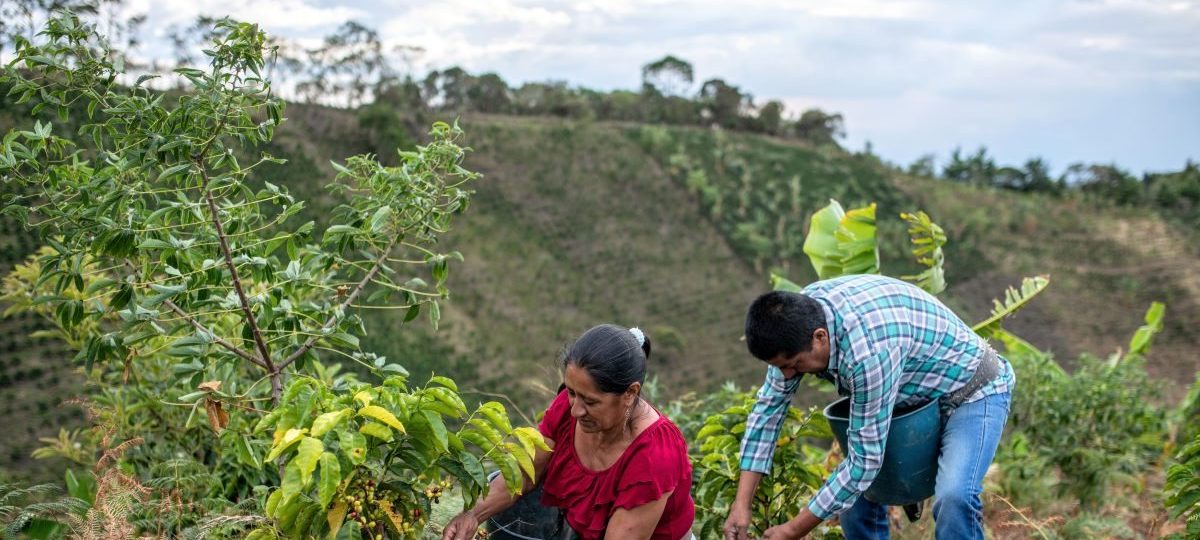 Foto van twee boeren, onderdeel van het Klimaathelden project
