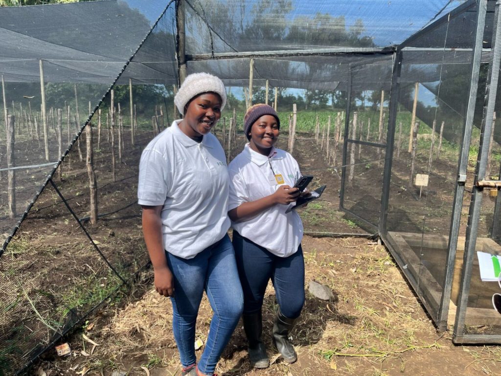 Twee jonge boeren worden ondersteund met trainingen over regeneratieve landbouw in Mozambique