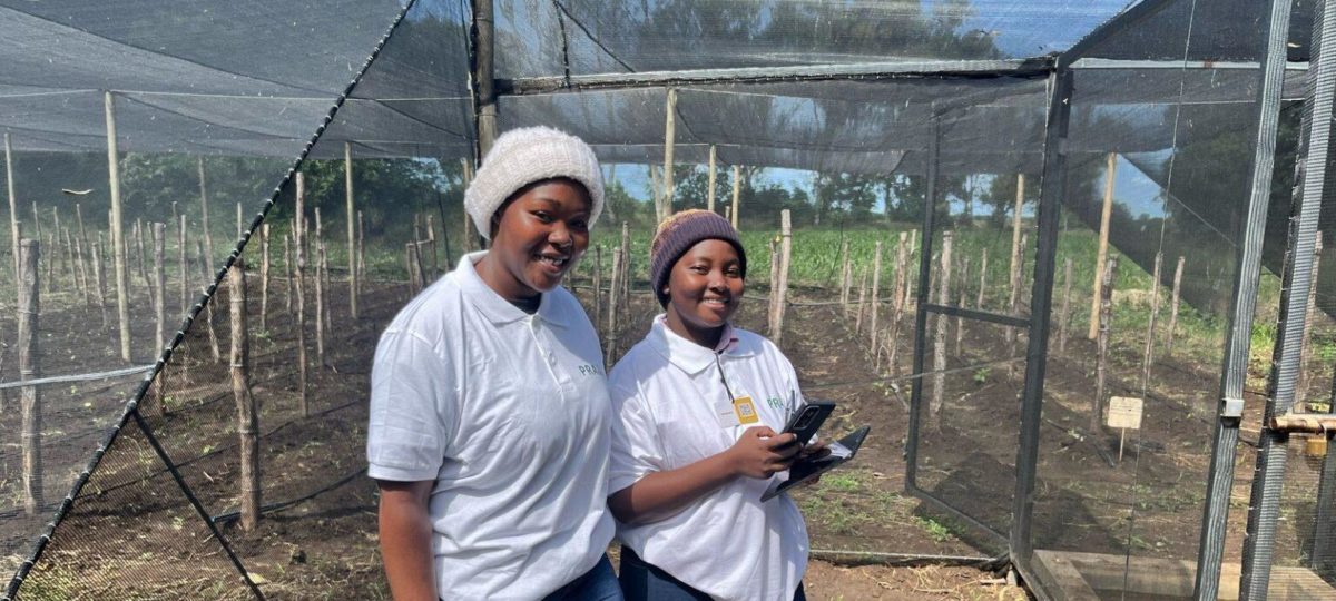 Twee jonge boeren worden ondersteund met trainingen over regeneratieve landbouw in Mozambique