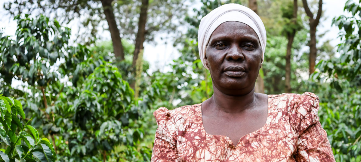 Beatrice Sululu, coffee farmer in Trans Nzoia County, Kenia When I saw maize farming was not giving me the price I wanted, I diversified into coffee farming. Despite the challenges I face as a coffee farmer, I have never lost hope. Price fluctuation is our biggest challenge as small scale farmers but it does not compare to the prices in Maize farming.